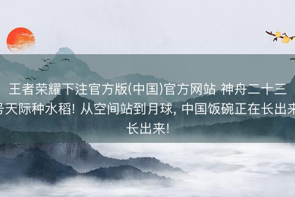 王者荣耀下注官方版(中国)官方网站 神舟二十三号天际种水稻! 从空间站到月球， 中国饭碗正在长出来!