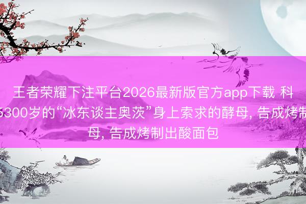 王者荣耀下注平台2026最新版官方app下载 科学家运用5300岁的“冰东谈主奥茨”身上索求的酵母, 告成烤制出酸面包