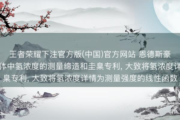王者荣耀下注官方版(中国)官方网站 恩德斯豪斯光学苦求用于测量气体中氢浓度的测量缔造和圭臬专利， 大致将氢浓度详情为测量强度的线性函数