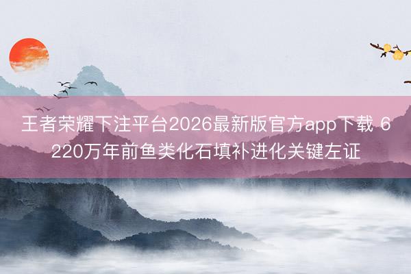王者荣耀下注平台2026最新版官方app下载 6220万年前鱼类化石填补进化关键左证