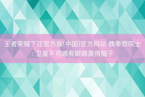 王者荣耀下注官方版(中国)官方网站 魏奉想院士: 卫星不可唯有眼睛莫得脑子