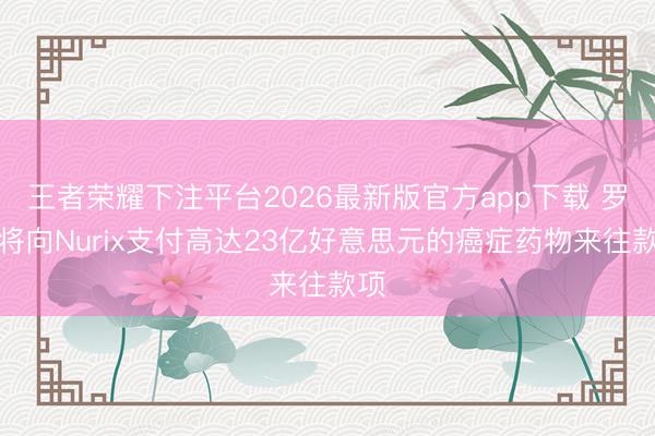 王者荣耀下注平台2026最新版官方app下载 罗氏将向Nurix支付高达23亿好意思元的癌症药物来往款项