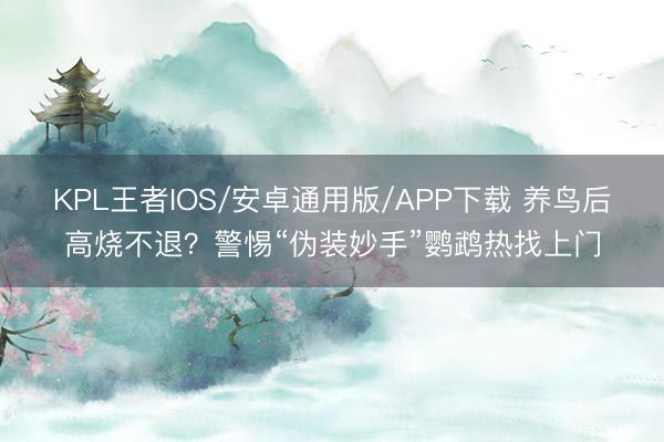 KPL王者IOS/安卓通用版/APP下载 养鸟后高烧不退？警惕“伪装妙手”鹦鹉热找上门