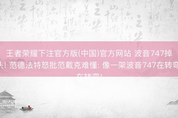 王者荣耀下注官方版(中国)官方网站 波音747掉头! 范德法特怒批范戴克难懂: 像一架波音747在转弯!