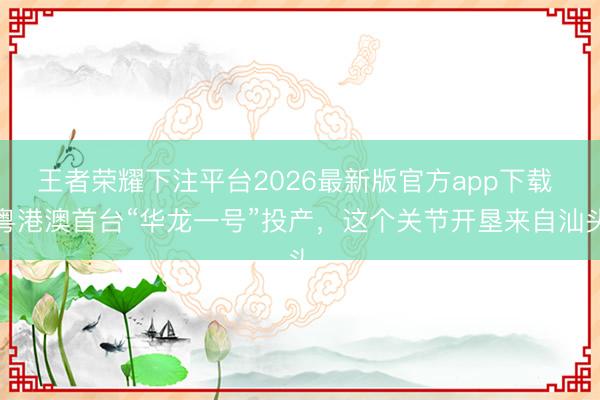 王者荣耀下注平台2026最新版官方app下载 粤港澳首台“华龙一号”投产，这个关节开垦来自汕头
