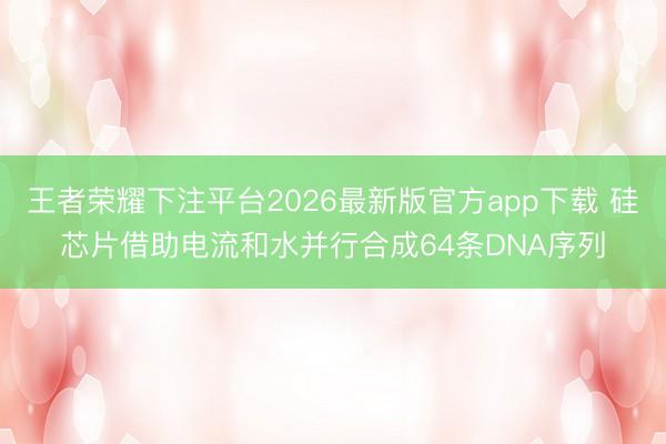 王者荣耀下注平台2026最新版官方app下载 硅芯片借助电流和水并行合成64条DNA序列